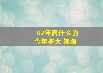 02年属什么的今年多大 视频